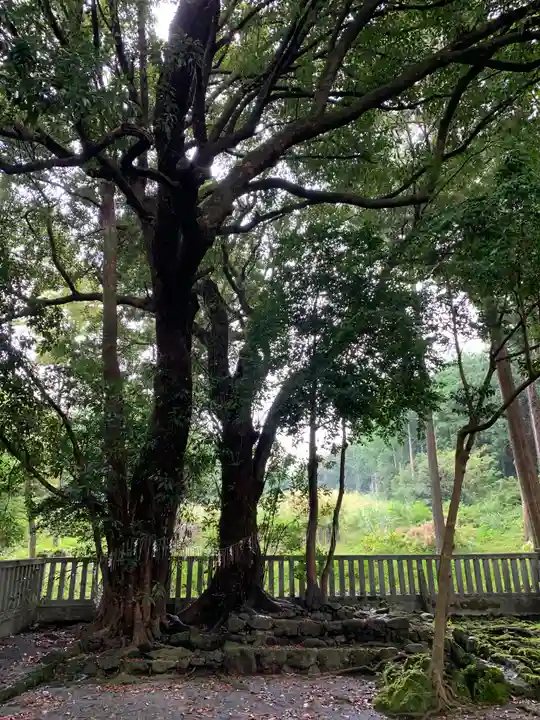 山宮浅間神社の自然
