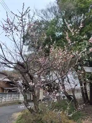玉敷神社(埼玉県)