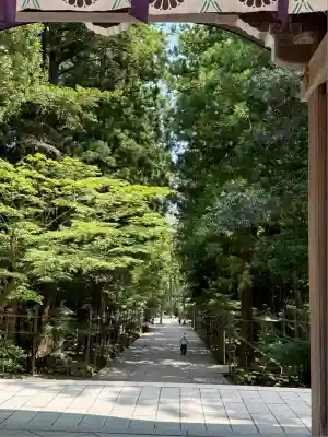 彌彦神社(新潟県)