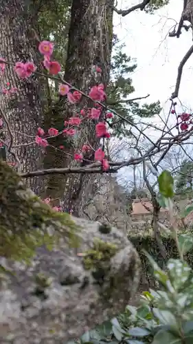 北野天満宮(京都府)