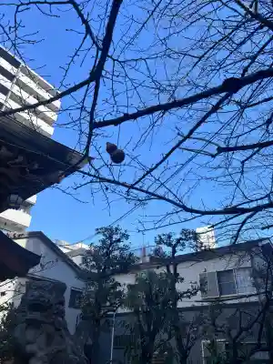 秋葉神社の{uncategorized: "未分類", other: "その他", undefined: "問題あり", building: "その他建物", grave: "お墓", sacred_gate: "鳥居", guardian: "狛犬", statue: "像", buddha: "仏像", history: "歴史", nature: "自然", garden: "庭園", animal: "動物", pagoda: "塔", temizu: "手水舎", mountain_gate: "山門・神門", sanctuary: "本殿・本堂", subordinate: "末社・摂社", art: "芸術", scenery: "景色", jizo: "地蔵", ema: "絵馬", goshuin: "御朱印", omikuji: "おみくじ", items: "授与品その他", amulet: "お守り", goshuincho: "御朱印帳", eats: "食事", festival: "お祭り", votive_dance: "神楽", shichigosan: "七五三参", wedding: "結婚式", experience: "体験その他", initially: "初詣", around: "周辺", anti_infection: "感染症対策"}