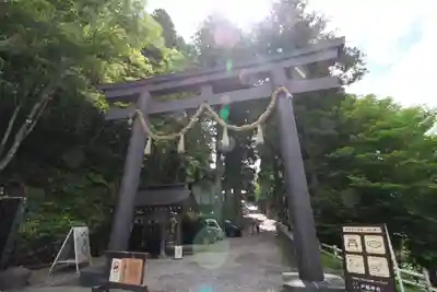 戸隠神社中社の鳥居