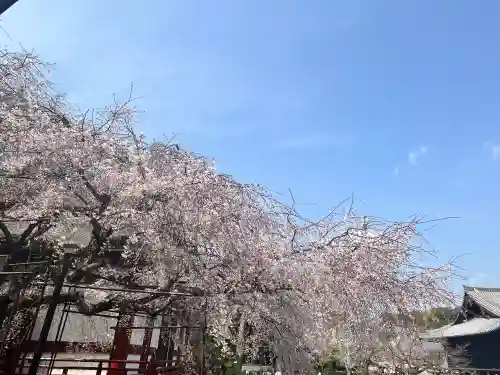 道成寺(和歌山県)