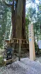 鷲子山上神社(栃木県)