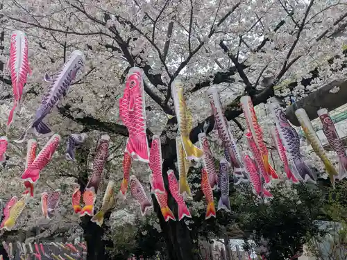 くまくま神社(導きの社 熊野町熊野神社)(東京都)