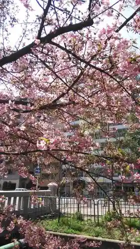 晴明神社の自然