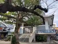 安楽寺の本殿・本堂