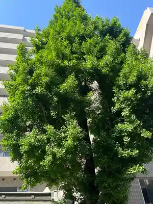 大井蔵王権現神社(東京都)