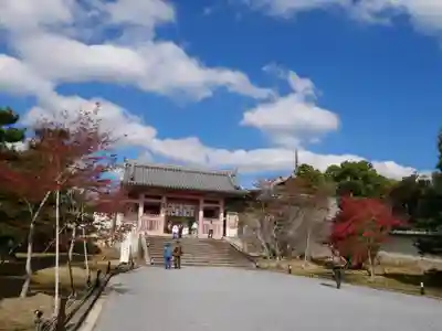 仁和寺(京都府)