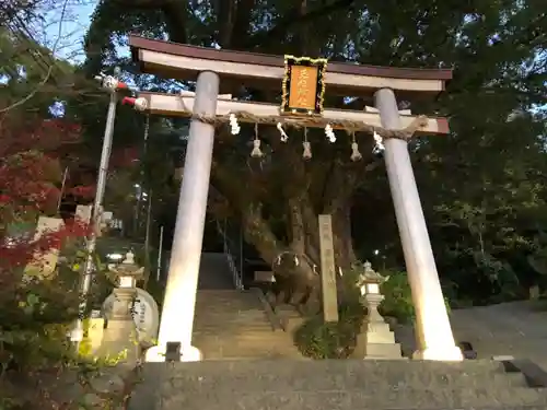 玉祖神社の鳥居