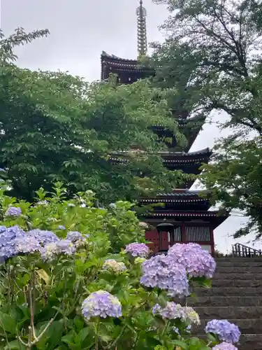 本土寺(千葉県)