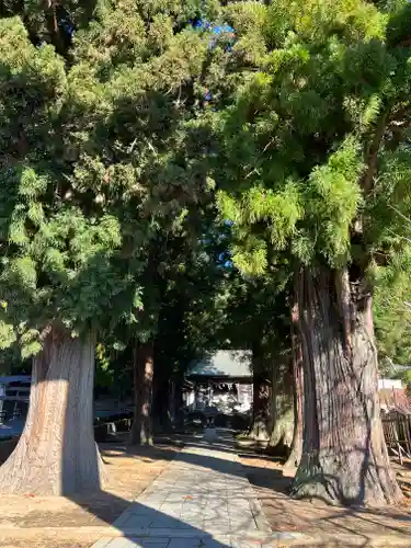 河口浅間神社のその他建物