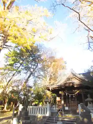 亀岡八幡宮（亀岡八幡神社）の本殿・本堂