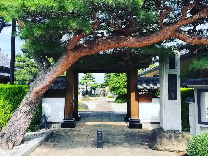 法源寺の建物その他