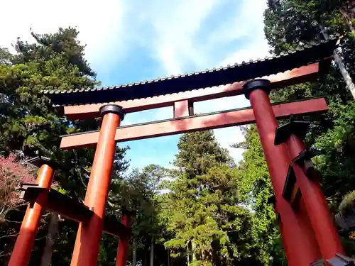 北口本宮冨士浅間神社の鳥居