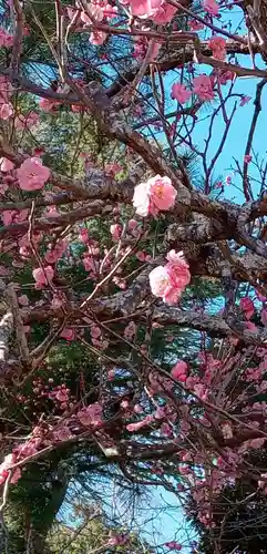 東勝寺宗吾霊堂の自然