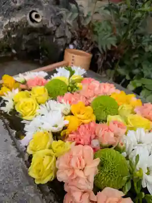 本郷氷川神社(東京都)