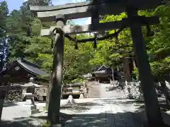 気多若宮神社(岐阜県)