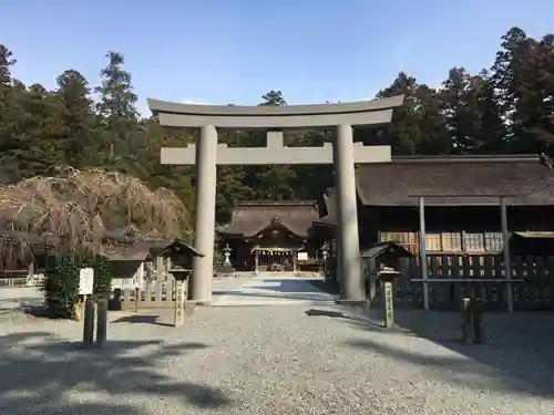 小國神社の鳥居