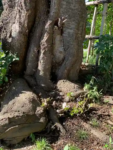 岩槻愛宕神社(埼玉県)