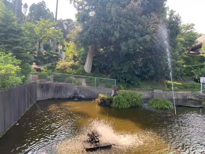 蓮福寺(千葉県)