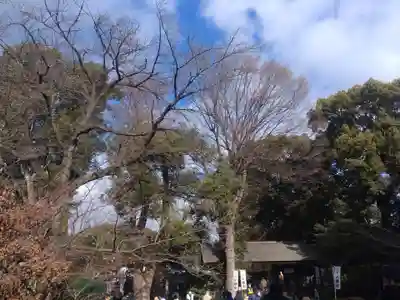 阿佐ヶ谷神明宮のその他建物