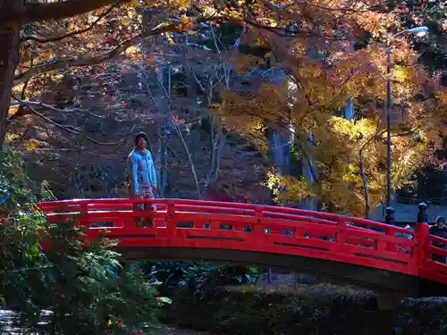 小國神社の庭園