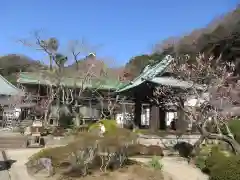 海蔵寺の庭園