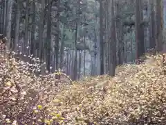 焼森山雷神神社のお祭り