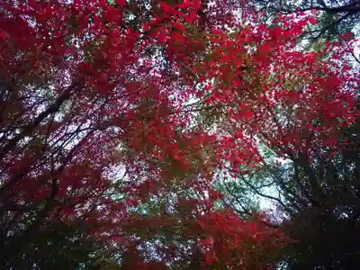 速谷神社(広島県)