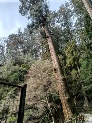 室生寺の{uncategorized: "未分類", other: "その他", undefined: "問題あり", building: "その他建物", grave: "お墓", sacred_gate: "鳥居", guardian: "狛犬", statue: "像", buddha: "仏像", history: "歴史", nature: "自然", garden: "庭園", animal: "動物", pagoda: "塔", temizu: "手水舎", mountain_gate: "山門・神門", sanctuary: "本殿・本堂", subordinate: "末社・摂社", art: "芸術", scenery: "景色", jizo: "地蔵", ema: "絵馬", goshuin: "御朱印", omikuji: "おみくじ", items: "授与品その他", amulet: "お守り", goshuincho: "御朱印帳", eats: "食事", festival: "お祭り", votive_dance: "神楽", shichigosan: "七五三参", wedding: "結婚式", experience: "体験その他", initially: "初詣", around: "周辺", anti_infection: "感染症対策"}