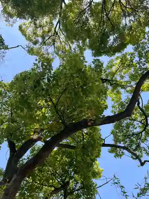 七渡神社（七渡弁天社）(東京都)