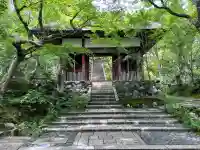 常寂光寺(京都府)