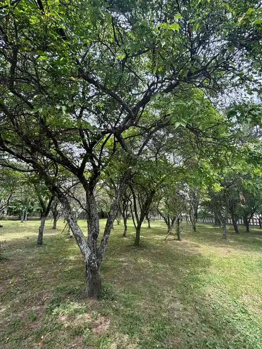 北辰神社(兵庫県)