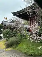 温泉山 安楽寺(四国霊場第六番札所)(徳島県)