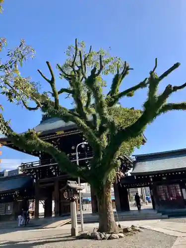 真清田神社のその他建物