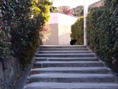 石峯寺(京都府)