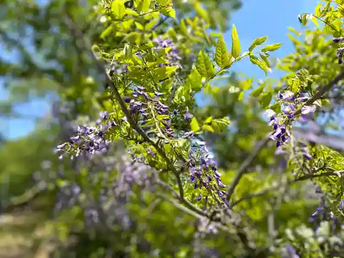 足穂神社の自然