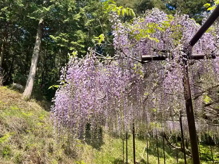天台宗 五大山 白毫寺(兵庫県)