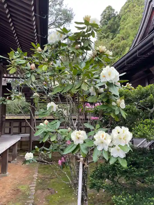 龍泉院(和歌山県)
