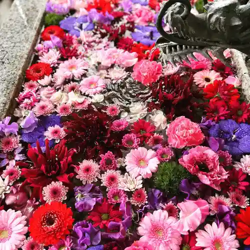 札幌諏訪神社の手水舎