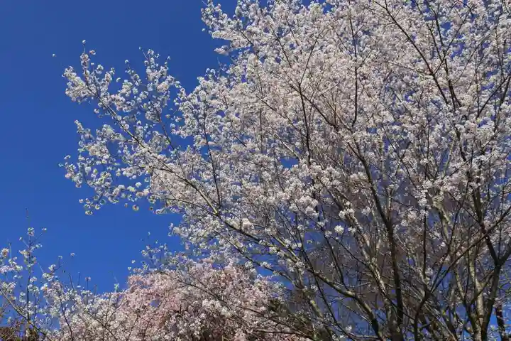 阿久津「田村神社」(郡山市阿久津町)旧社名:伊豆箱根三嶋三社の庭園