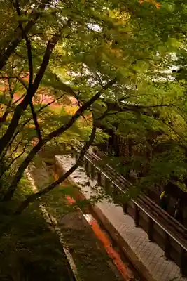 禅林寺(永観堂)(京都府)