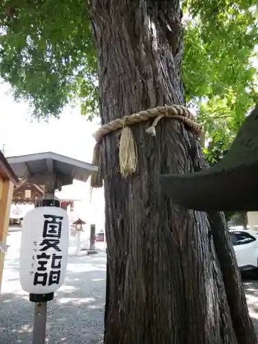 札幌諏訪神社の自然