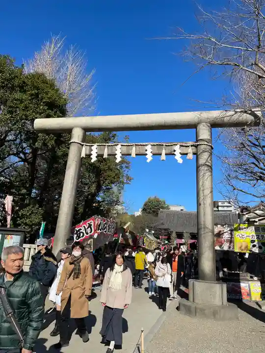 浅草神社の初詣