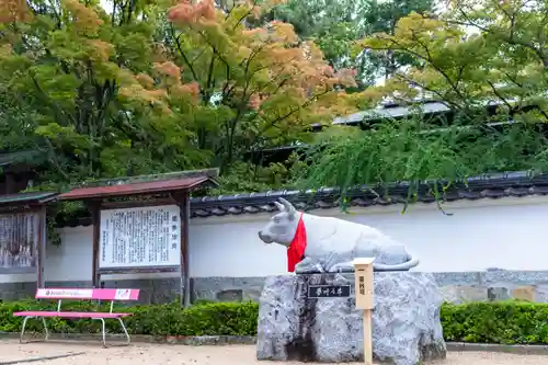 防府天満宮(山口県)