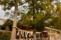 寒川神社(神奈川県)