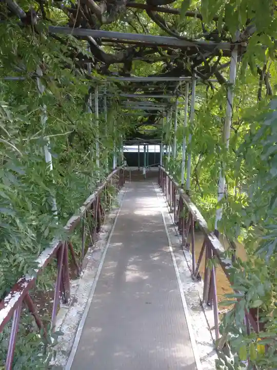 西寒多神社の自然