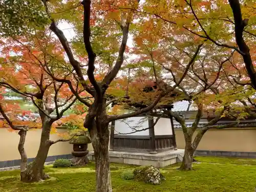 黄梅院の庭園