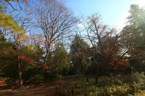 青葉神社の自然